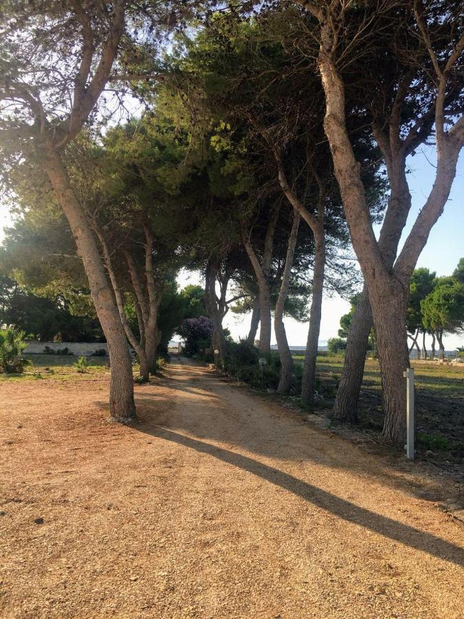 Case Vacanze Spagnola 106 Marsala Exteriér fotografie